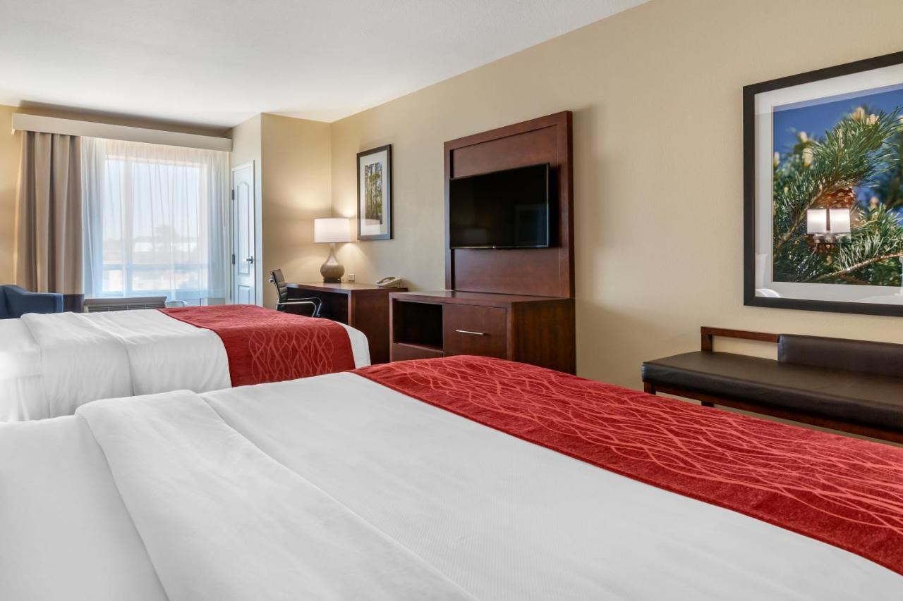 Comfort Inn & Suites Tifton Habitación foto